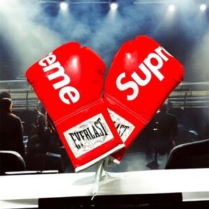Supreme boxing gloves 10oz - 14oz cst*